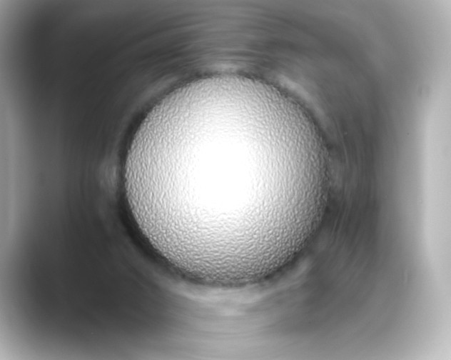 X0000088840016200706211841