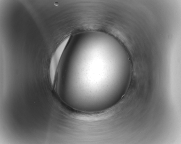 X0000088840017200706211841