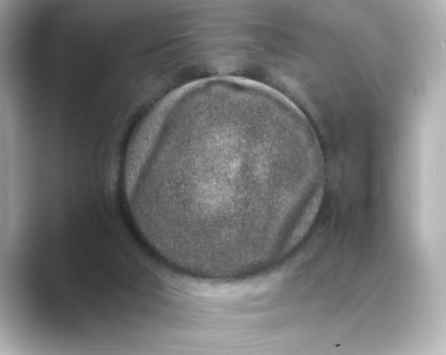 X0000088840018200706211841