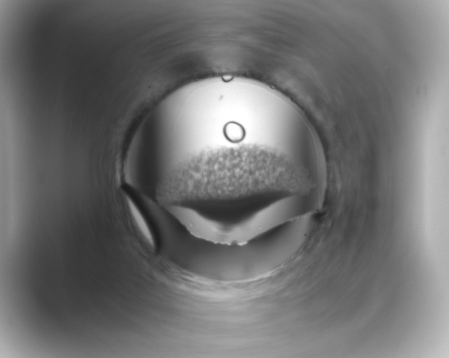 X0000088840019200706211841