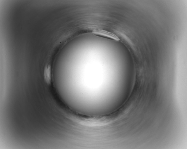 X0000088840020200706211841