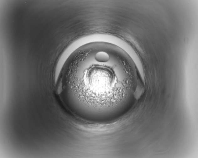 X0000088840023200706211841