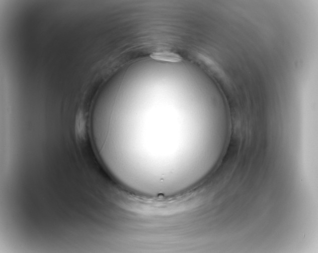 X0000088840026200706211841