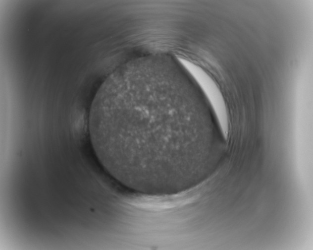 X0000088840029200706211841