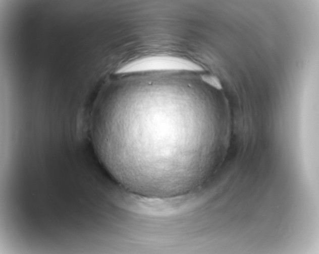 X0000088840030200706211841