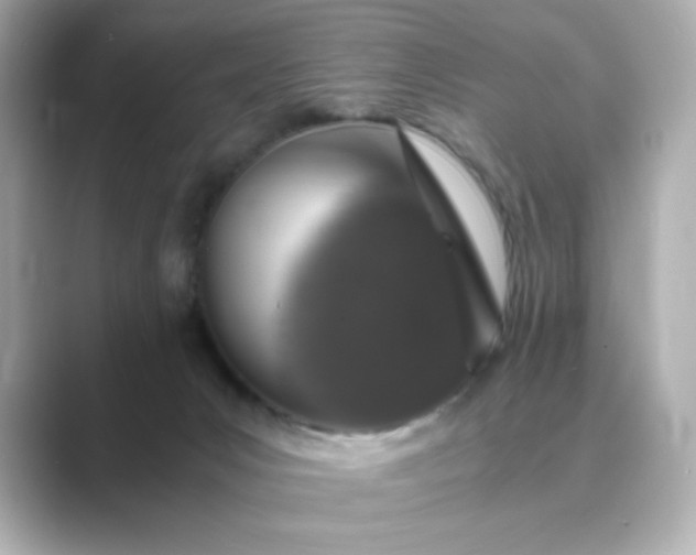 X0000088840031200706211841