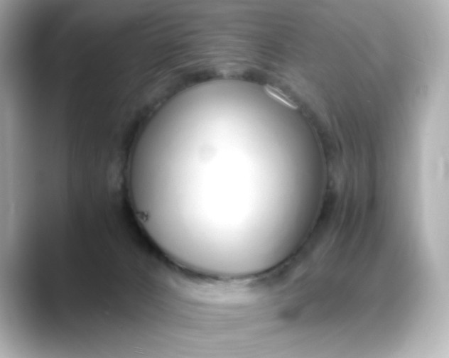 X0000088840032200706211841