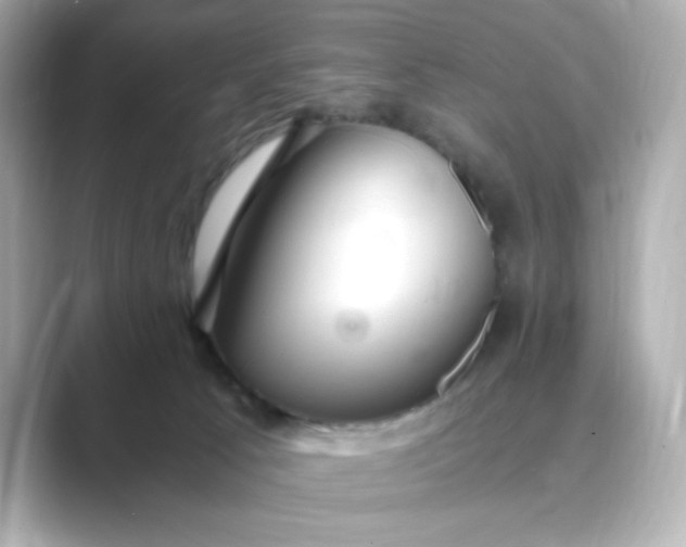 X0000088840033200706211841