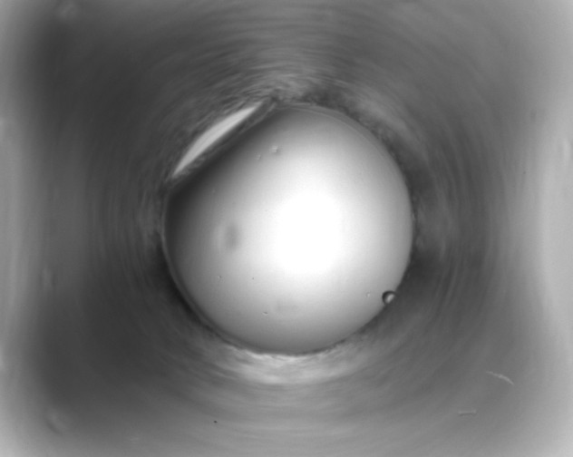 X0000088840034200706211841