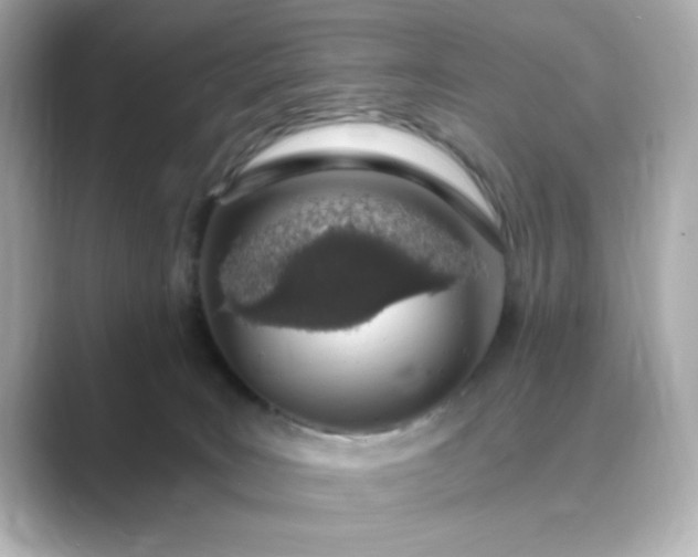 X0000088840035200706211841