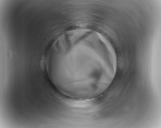 X0000088840036200706211841