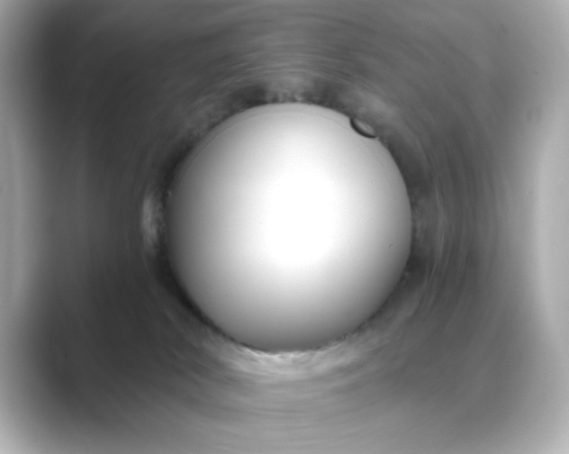 X0000088840038200706211841