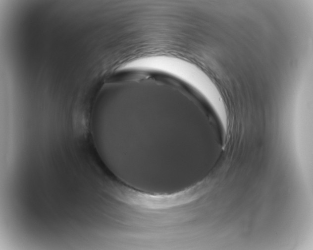 X0000088840039200706211841