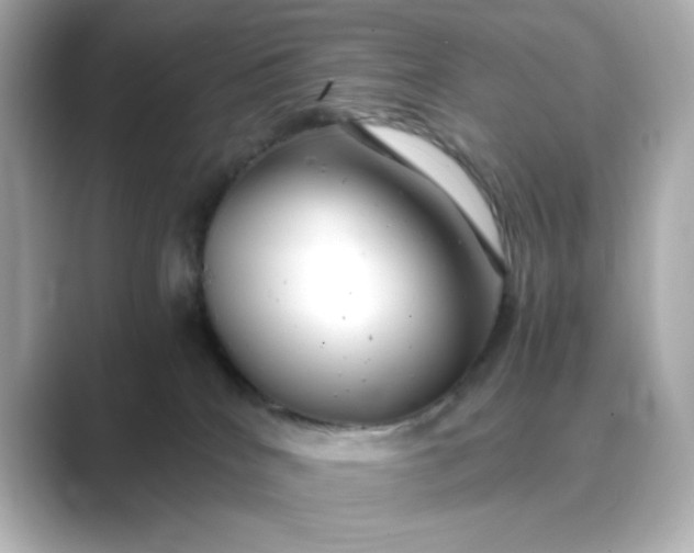 X0000088840040200706211841