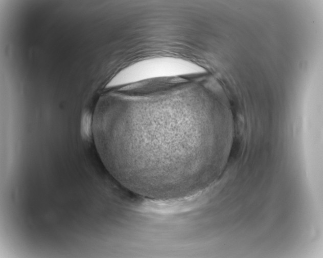 X0000088840041200706211841