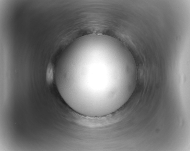 X0000088840042200706211841