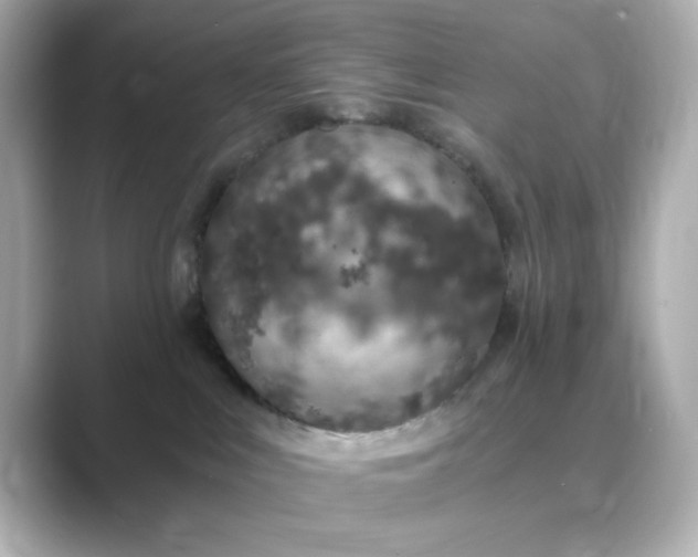 X0000088840043200706211841