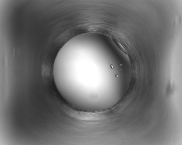 X0000088840044200706211841