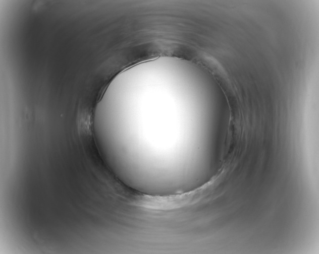 X0000088840045200706211841