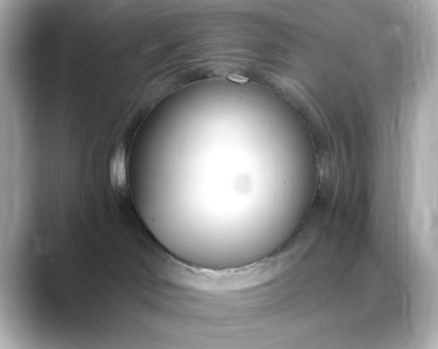 X0000088840046200706211841