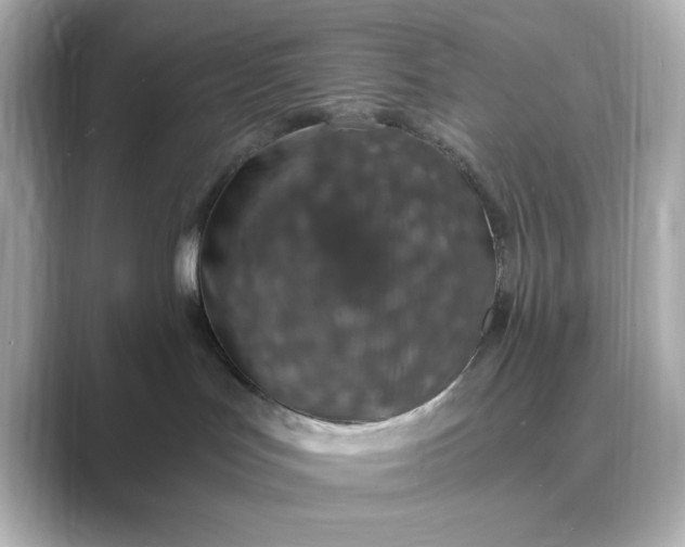 X0000088840047200706211841