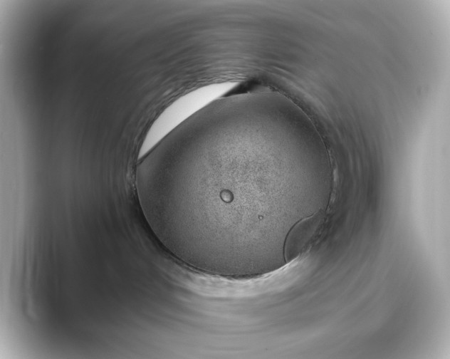 X0000088840048200706211841