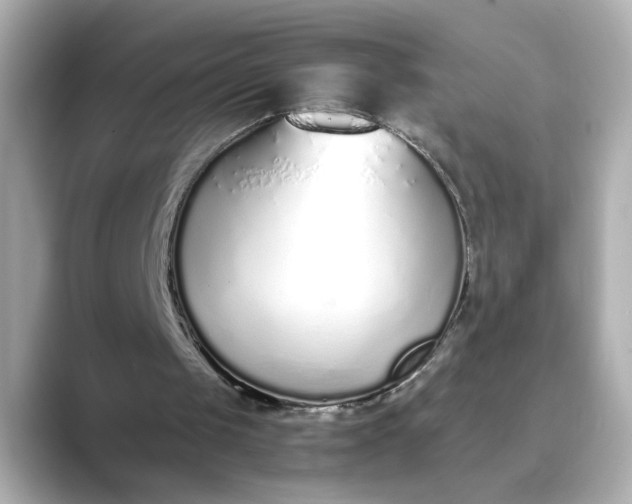 X0000088840049200706211840