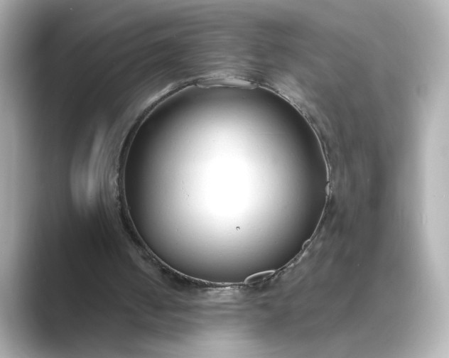 X0000088840050200706211840