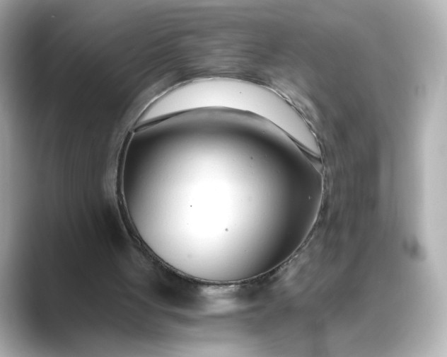 X0000088840051200706211840