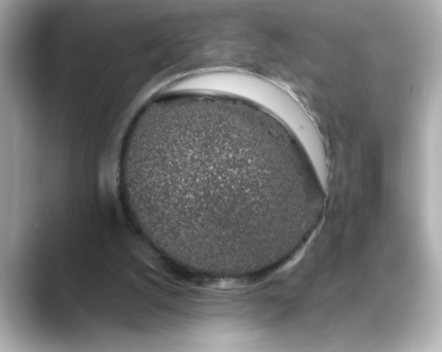 X0000088840056200706211840