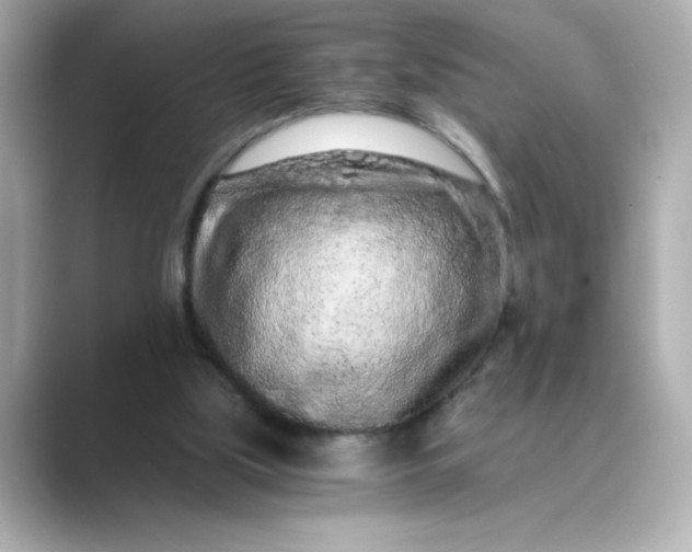 X0000088840059200706211840