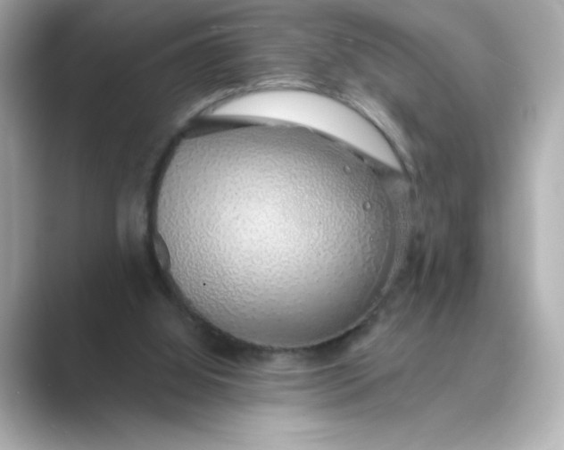 X0000088840060200706211840