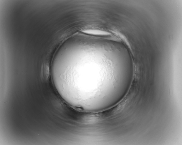 X0000088840061200706211840