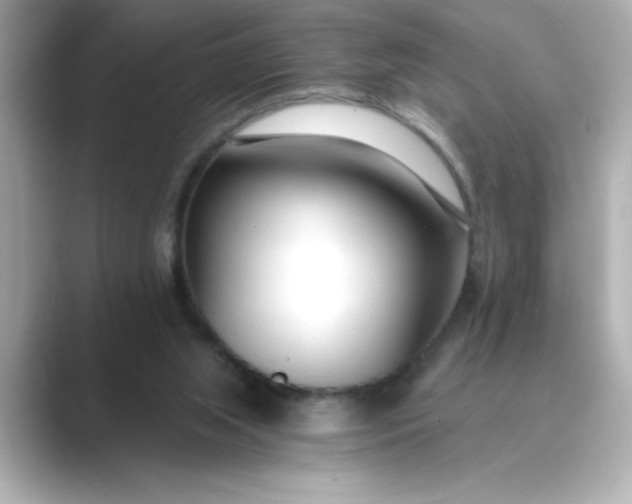 X0000088840063200706211840