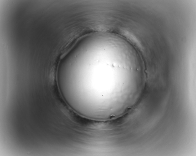 X0000088840065200706211840