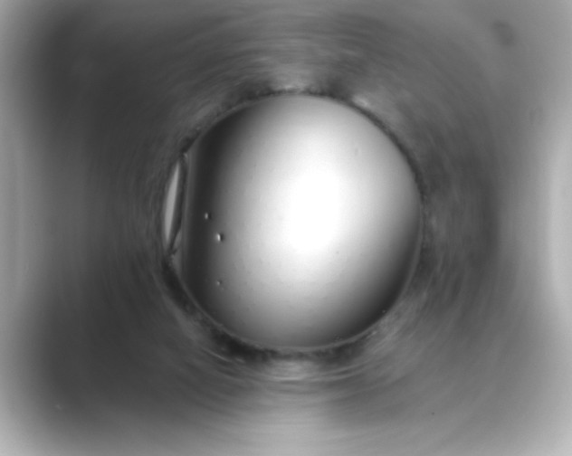 X0000088840066200706211840