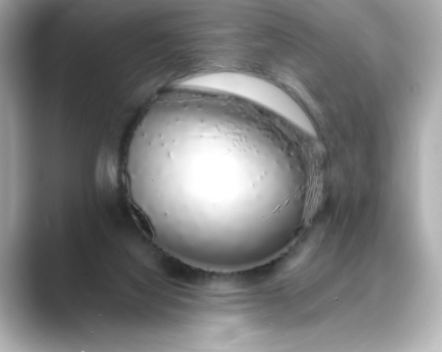 X0000088840068200706211840