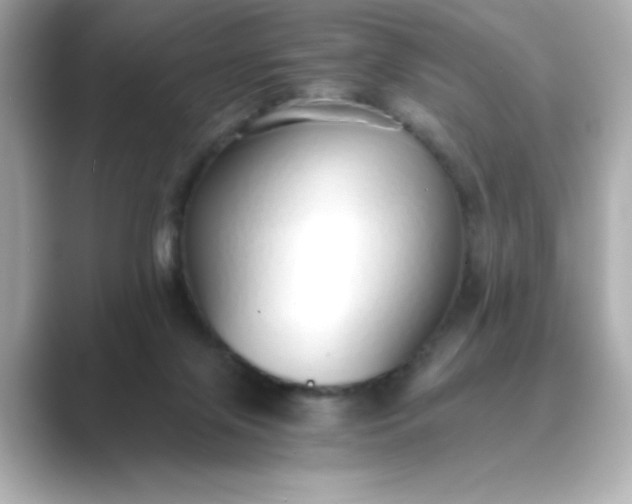 X0000088840071200706211840