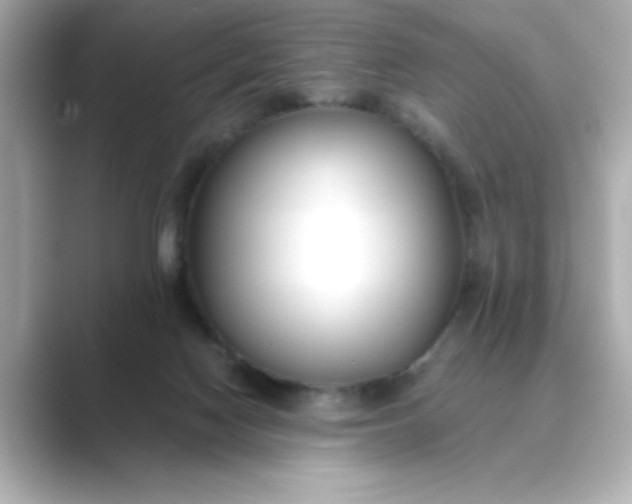 X0000088840074200706211840