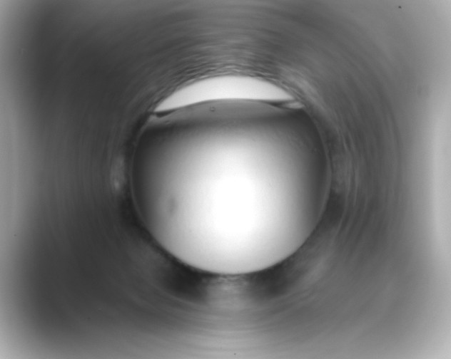 X0000088840077200706211840