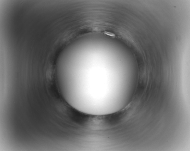 X0000088840078200706211840