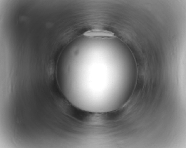 X0000088840082200706211840