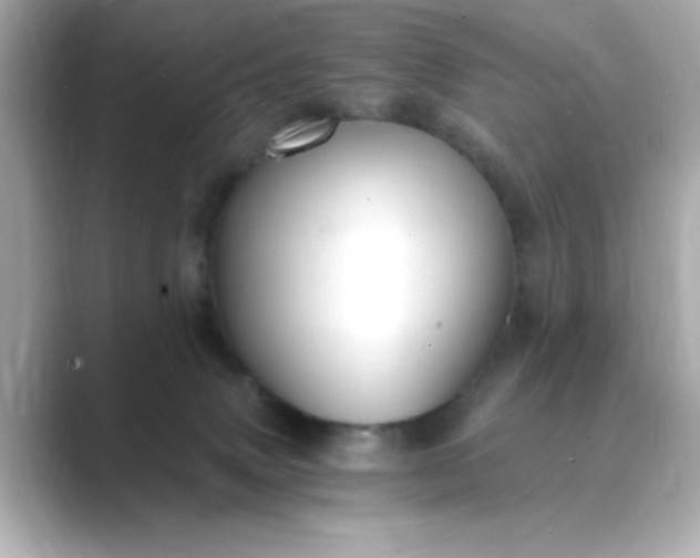 X0000088840083200706211840