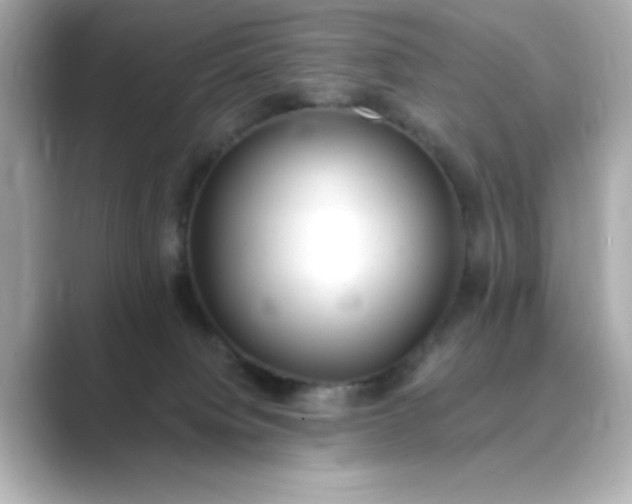 X0000088840084200706211840