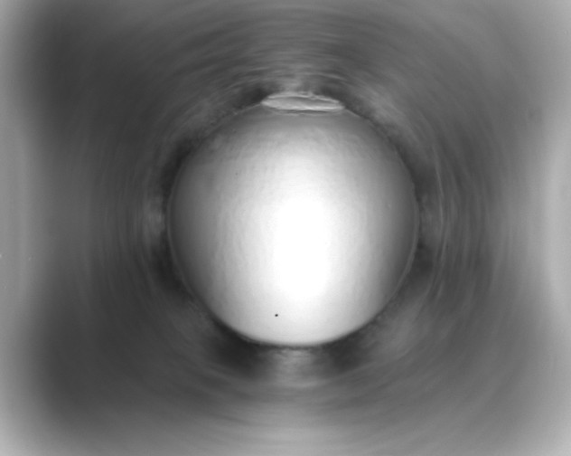 X0000088840085200706211840