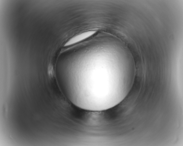 X0000088840089200706211841