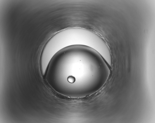 X0000088840099200706211840