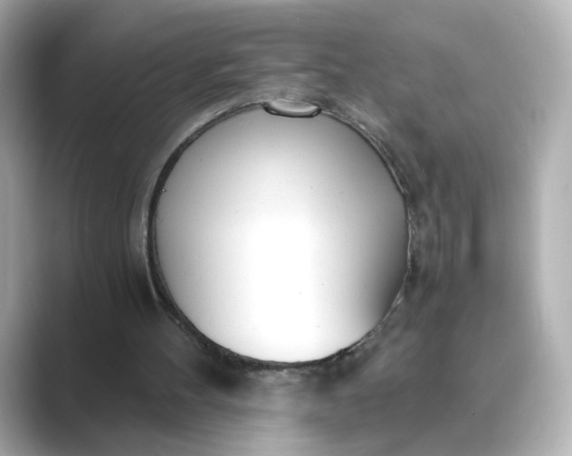 X0000088840100200706211840