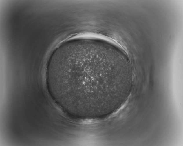 X0000088840101200706211840