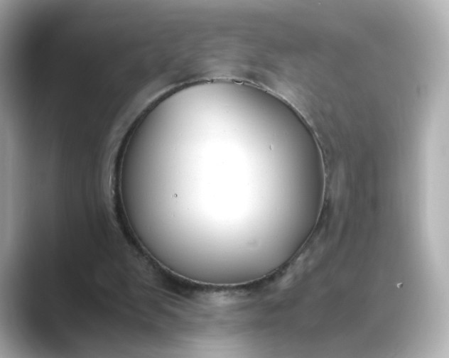 X0000088840103200706211840